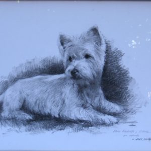 Alcover cuadro dibujo carbon figurativo perro westie