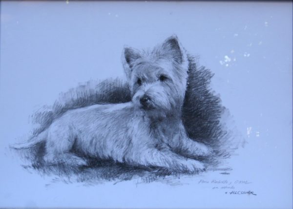 Alcover cuadro dibujo carbon figurativo perro westie