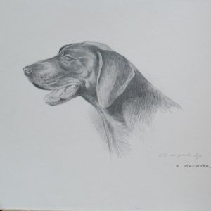 Alcover cuadro dibujo carbon figurativo perro